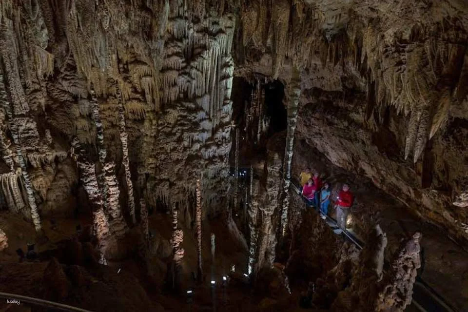 Natural bridge caverns discovery tour