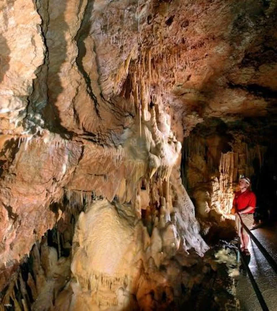 Natural bridge caverns discovery tour