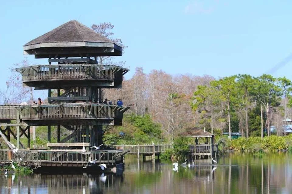 Screamin' Gator Zipline and Gatorland combo admission