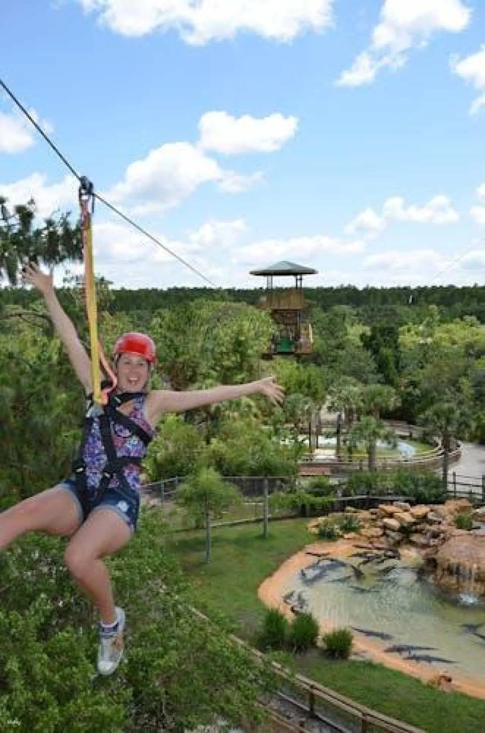 Screamin' Gator Zipline and Gatorland combo admission