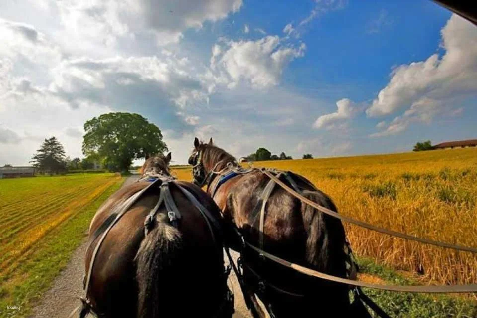 2-day Washington, D.C., Philadelphia and Amish Country tour from NYC
