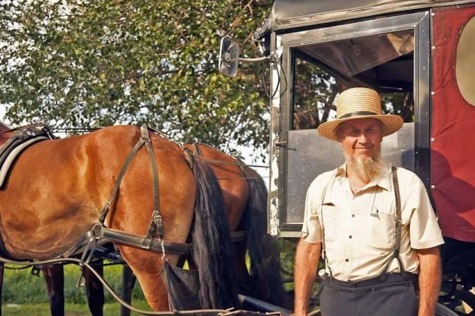 2-day Washington, D.C., Philadelphia and Amish Country tour from NYC