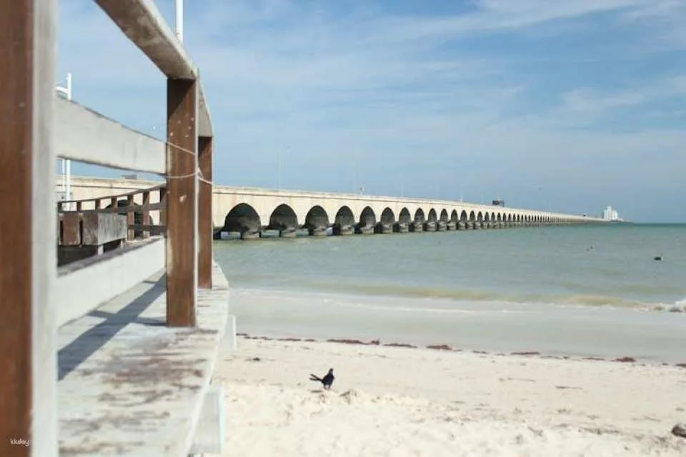 Tour of Xcambó Archeological Area and Progreso City