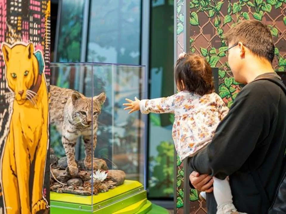 Explore California Academy of Sciences entrance tickets