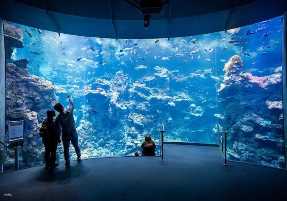 Explore California Academy of Sciences entrance tickets