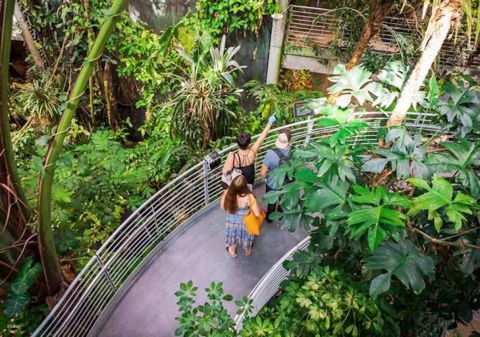 Explore California Academy of Sciences entrance tickets