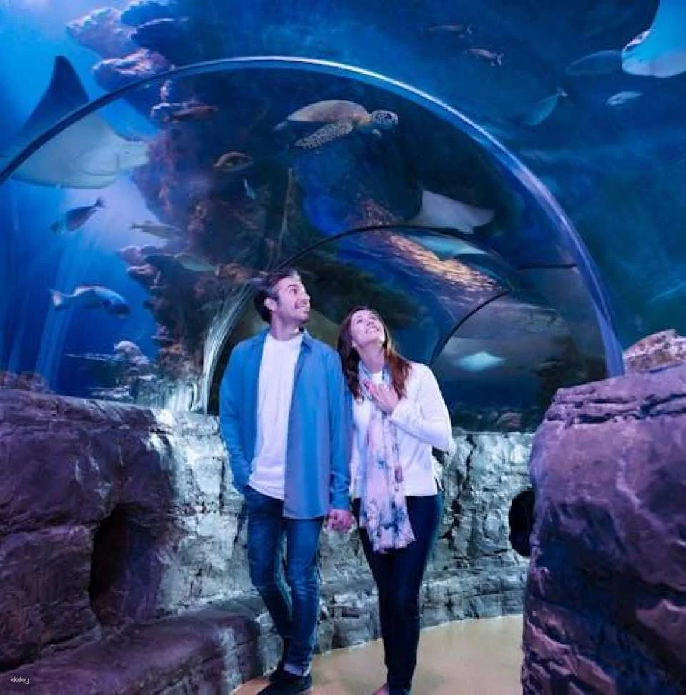 SEA LIFE Aquarium Charlotte-Concord tickets