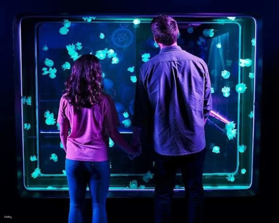 SEA LIFE Aquarium Charlotte-Concord tickets
