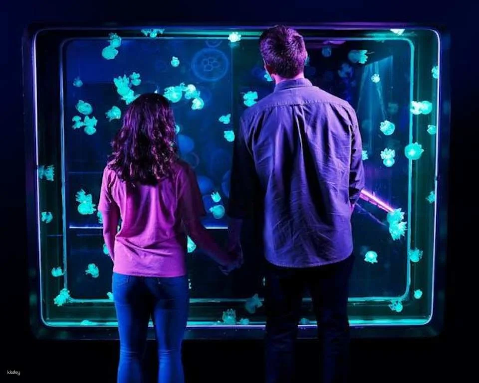 SEA LIFE Aquarium Charlotte-Concord tickets