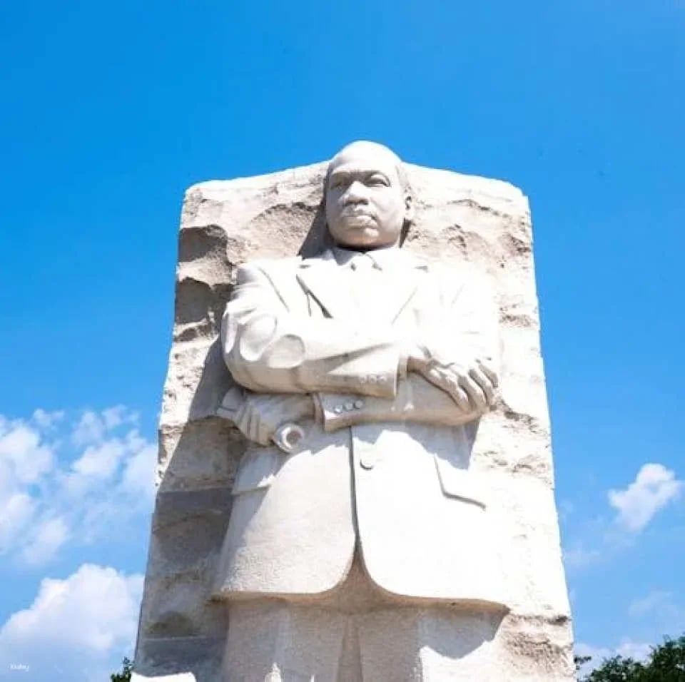 DC in a day with 10 monuments, cherry blossoms, and a boat cruise