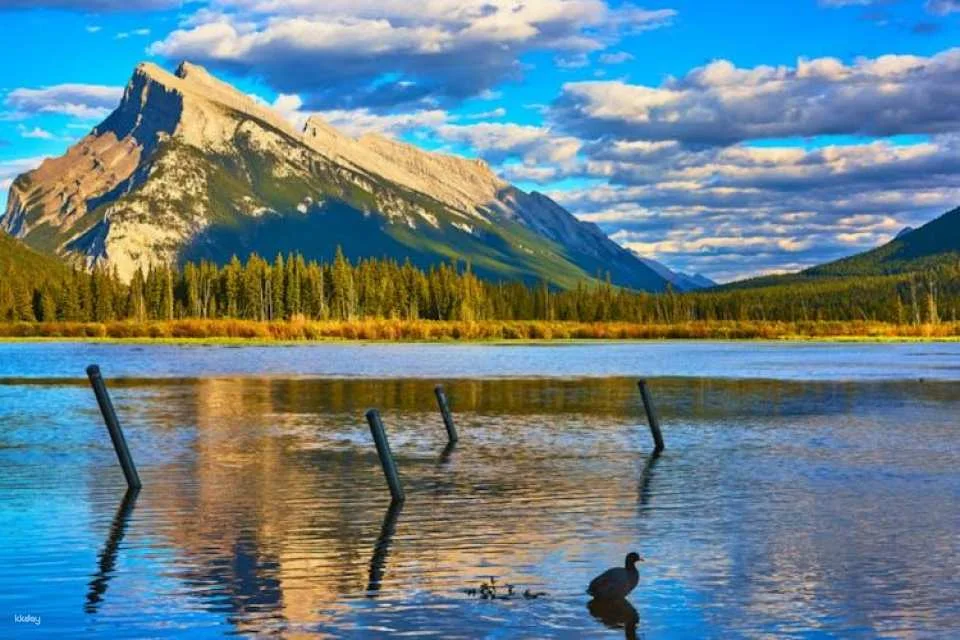 Lake Minnewanka hike and Vermilion Lakes sunset experience