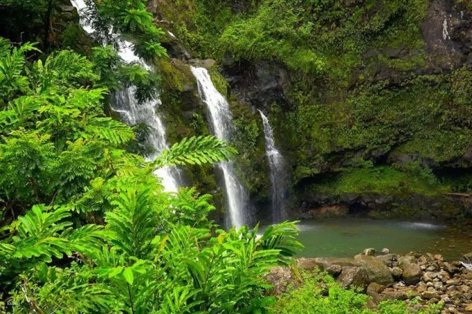 Audio-guided driving tour on Maui's Road to Hana