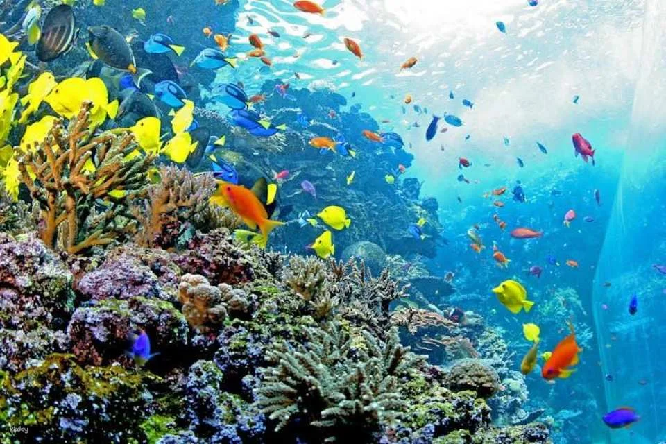 Atlanta CityPASS®