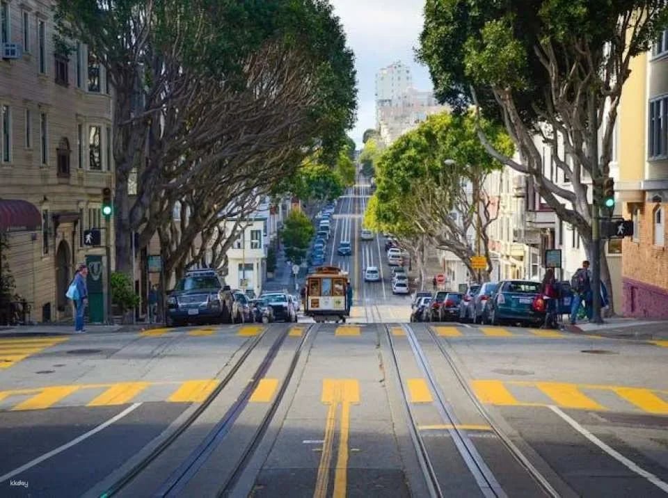 San Francisco Grand City bus tour and Aquarium of the Bay tickets