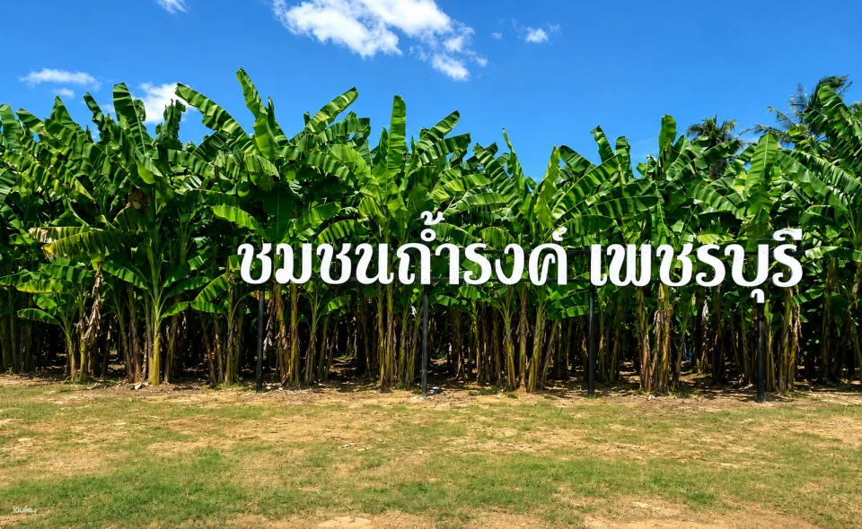 Save up to 17% | Phetchaburi Pass | Redeem up to 7 out of 10+ benefits