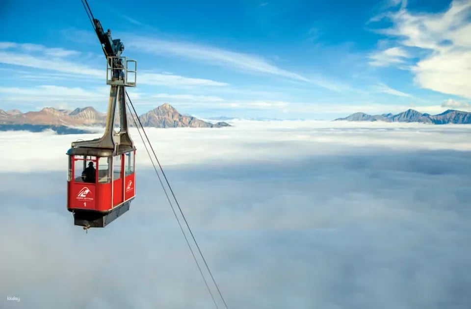 Jasper SkyTram Tickets | Canada