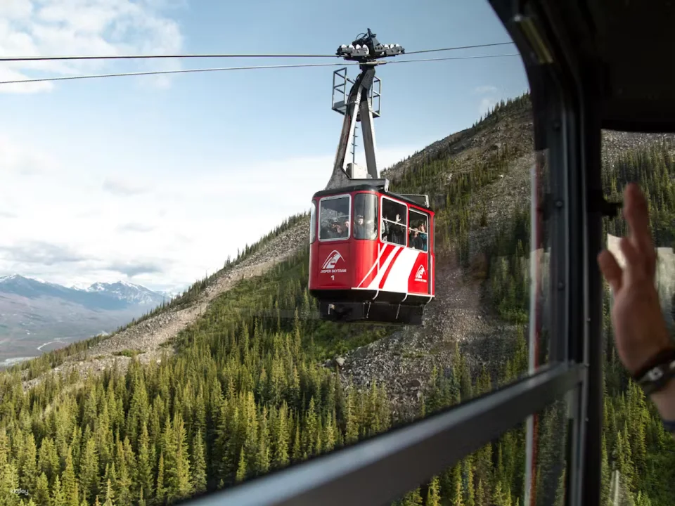 Jasper SkyTram Tickets | Canada