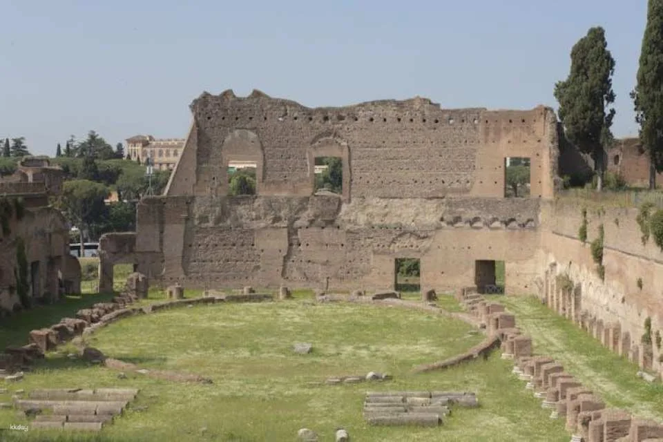 Colosseum with gladiators' access and Ancient Rome guided tour