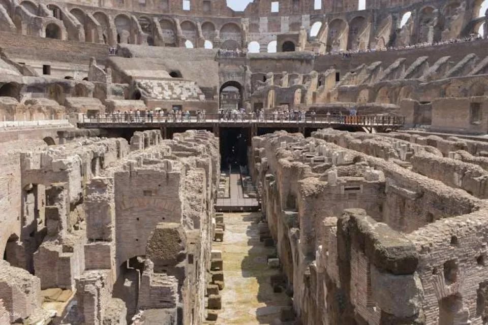 Colosseum with gladiators' access and Ancient Rome guided tour