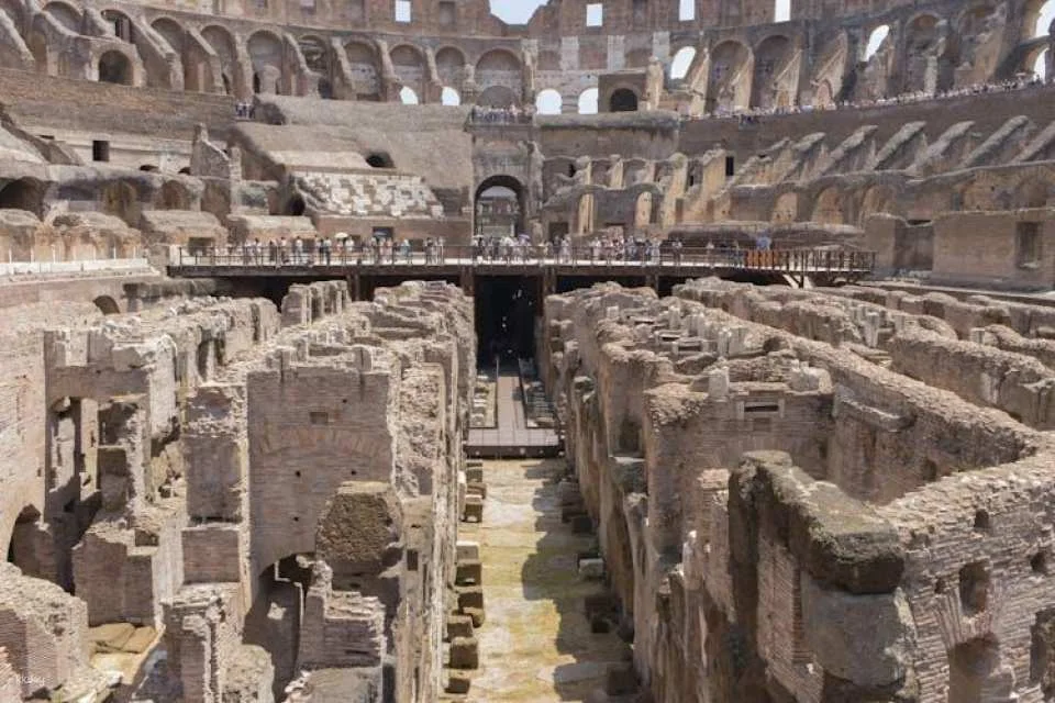 Colosseum with gladiators' access and Ancient Rome guided tour