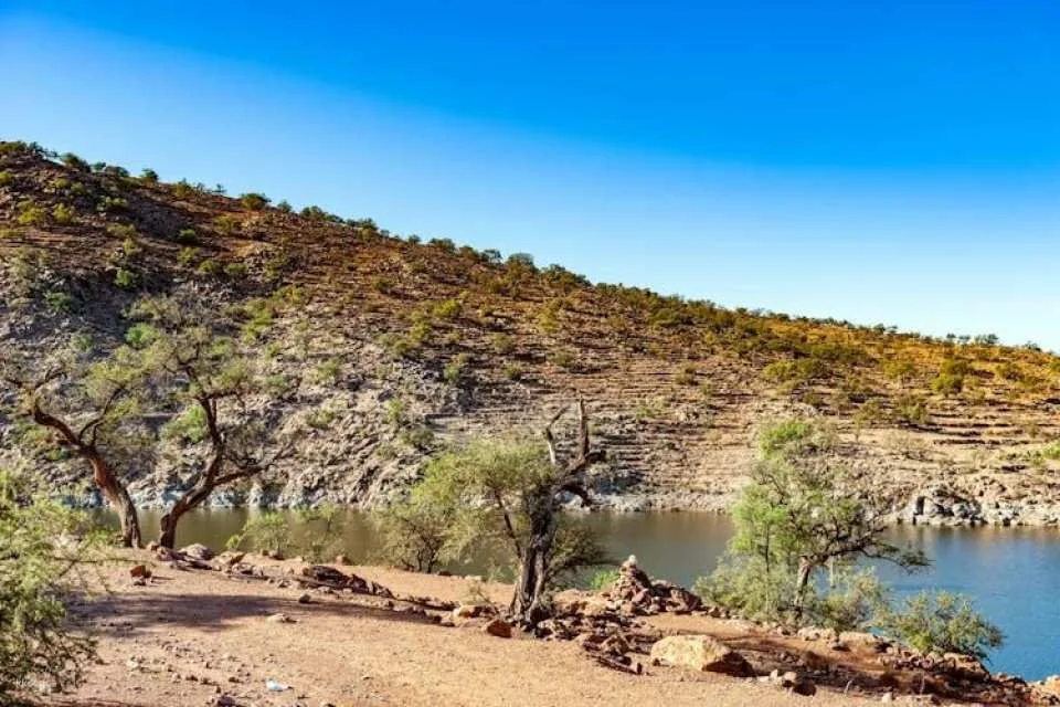 Trip to Spot Tree-Climbing Goats from Agadir