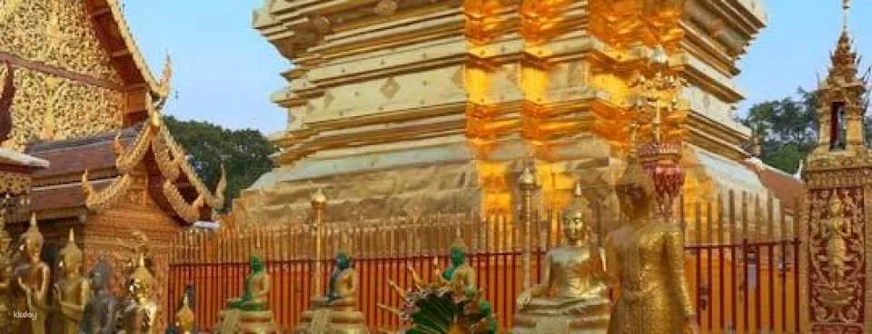 Chiang Mai City and Temples tour (616065)