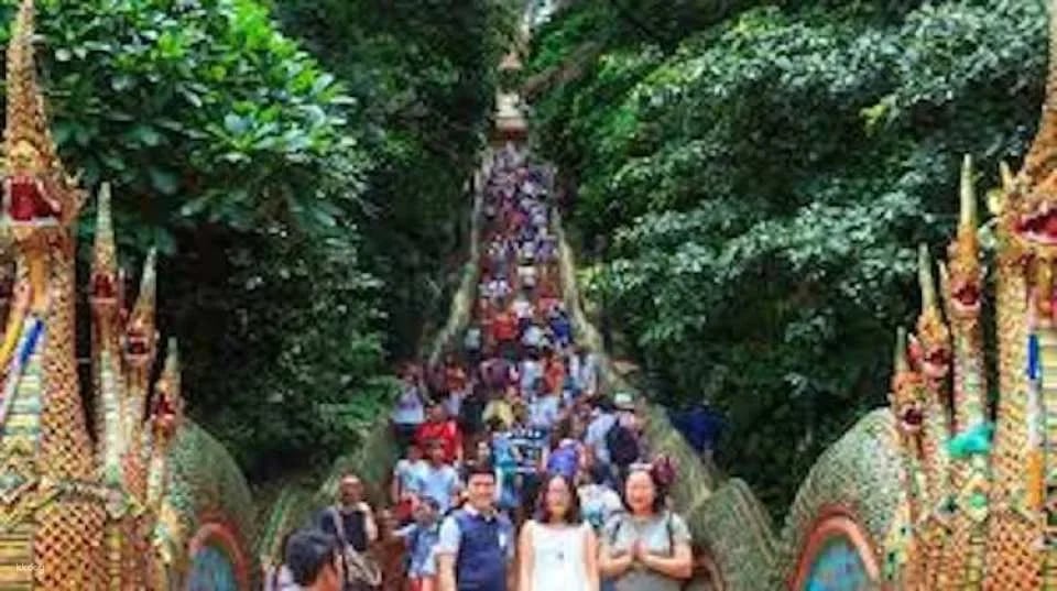 Chiang Mai City and Temples tour