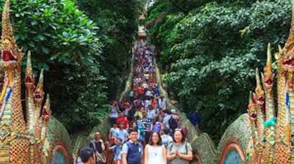 Chiang Mai City and Temples tour