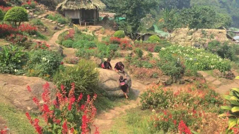 Chiang Mai City and Temples tour