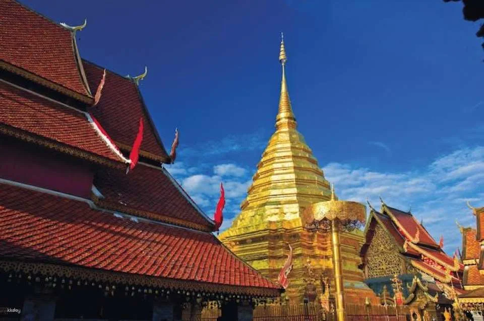 Chiang Mai City and Temples tour