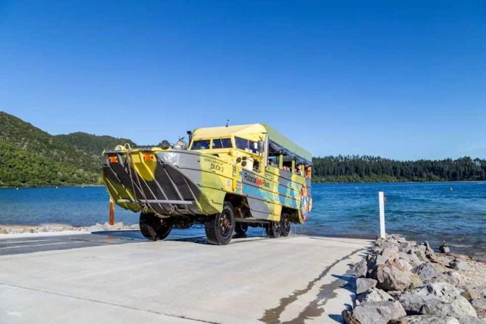 Rotorua city and lakes tour