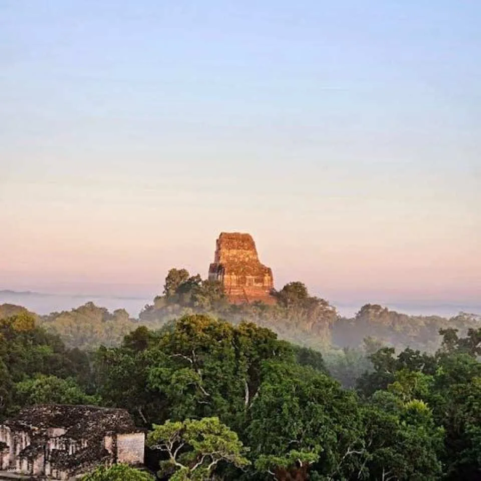 Explore ancient Maya temples on this Tikal sunset tour (616175)