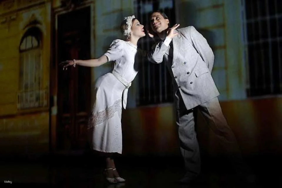 Buenos Aires Tango Porteño show with private transfers