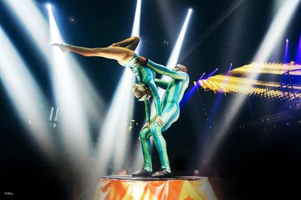 Coco Bongo Gold Member Ticket