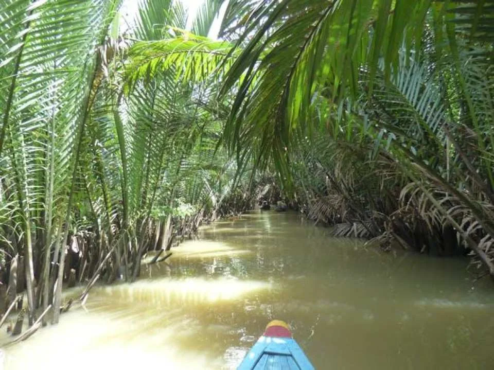 Full-day Mekong Delta guided tour from Ho Chi Minh with lunch