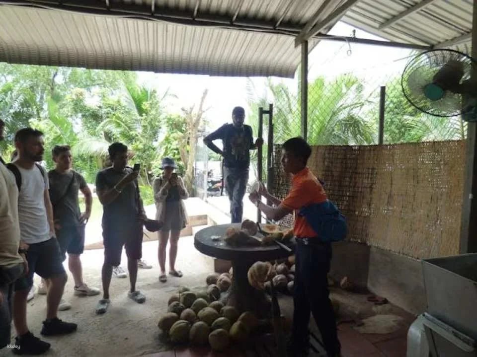 Full-day Mekong Delta guided tour from Ho Chi Minh with lunch