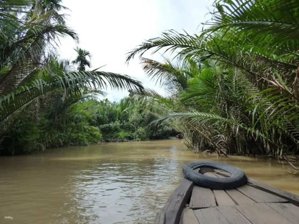 Full-day Mekong Delta guided tour from Ho Chi Minh with lunch