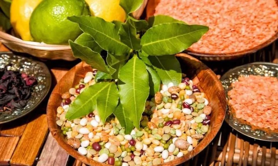 Marrakech full day guided tour with lunch