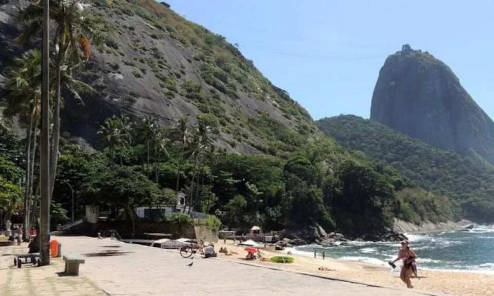 Sugar Loaf city tour and cable car from Rio