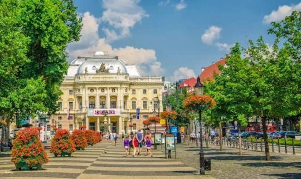 Bratislava walking tour with castle entrance ticket (616398)