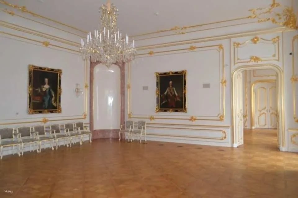 Bratislava walking tour with castle entrance ticket