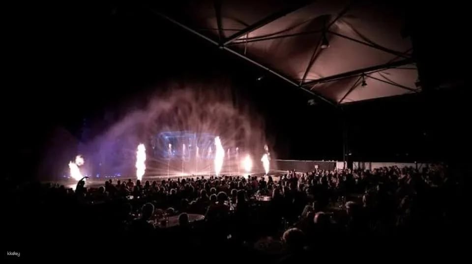 Magic Dancing Waters Ticket