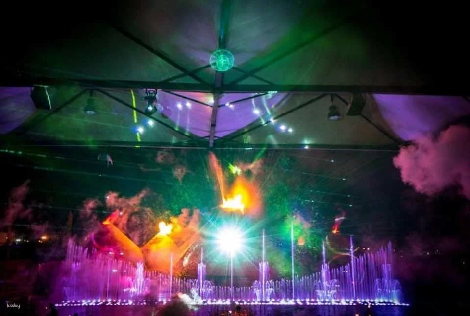 Magic Dancing Waters Ticket