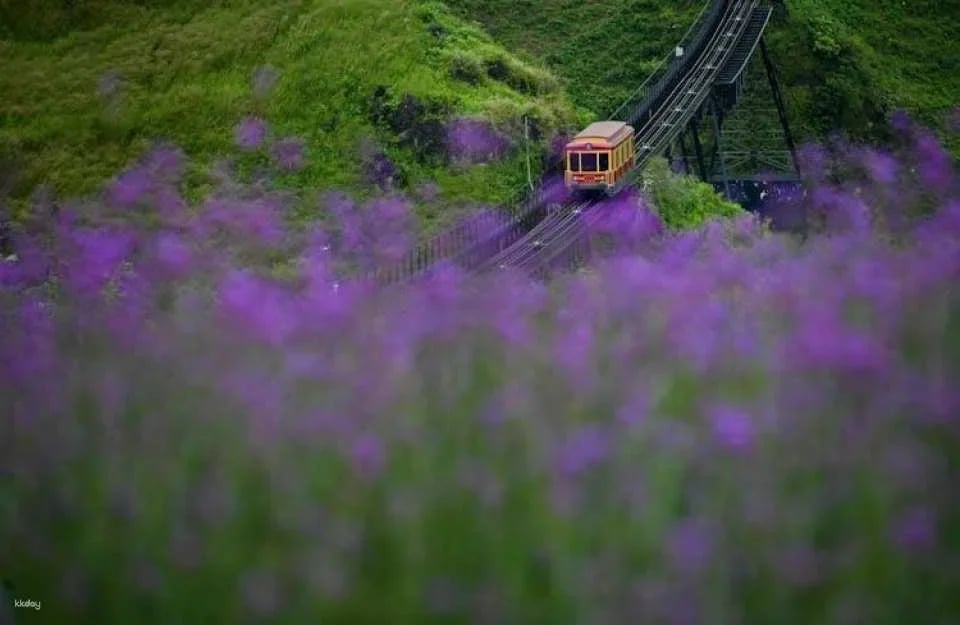 Sun World Fansipan Legend cable car tickets