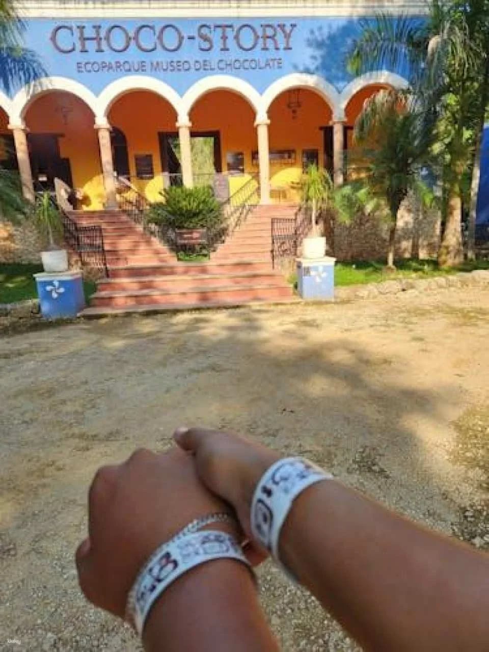 Uxmal, Cenote Peba, and Chocolate Museum tour