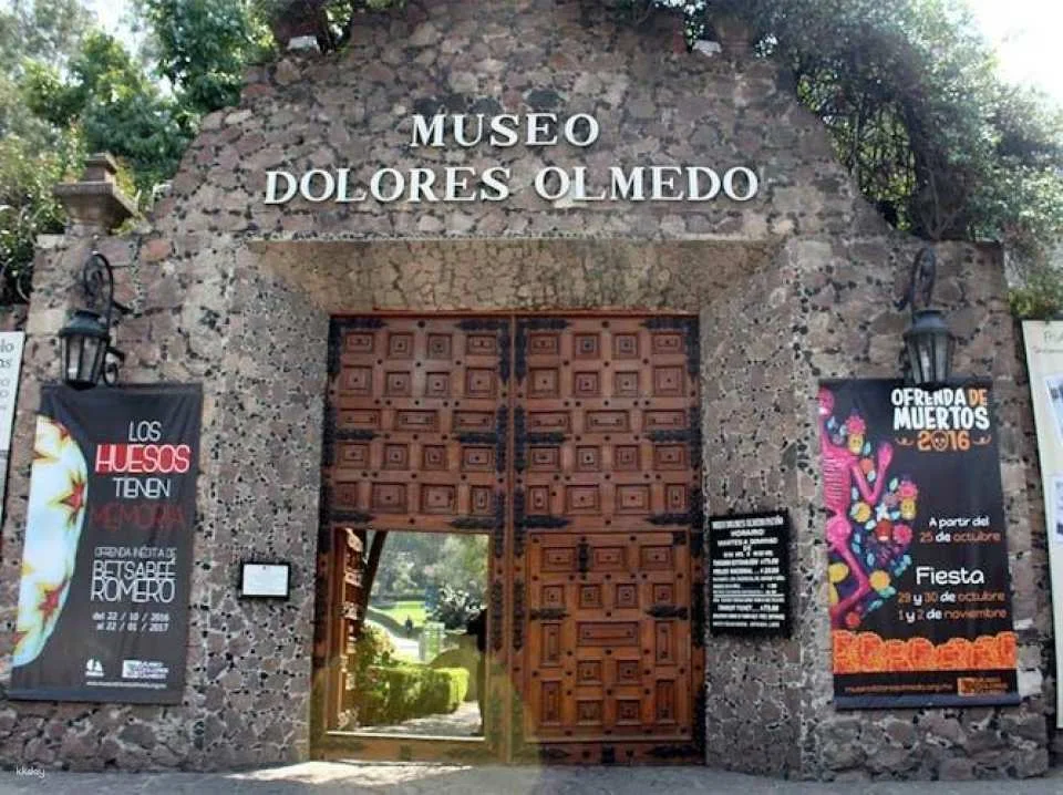 Frida Kahlo and Diego Rivera legacy visit to three museums with skip-the-line tickets