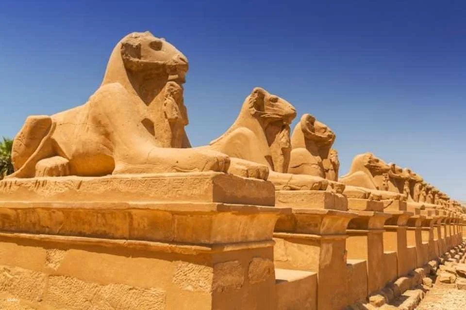 Ancient Luxor tour from Marsa Alam in Polish