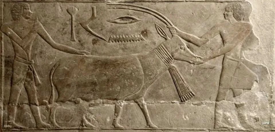 Memphis and Saqqara private tour with home cooked lunch from Cairo