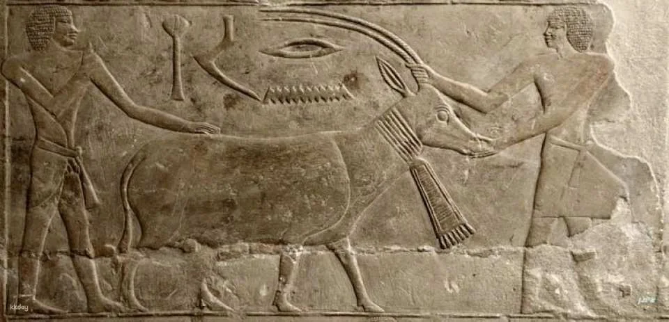 Memphis and Saqqara private tour with home cooked lunch from Cairo