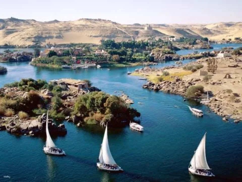 Best of Aswan and Edfu Temple Guided Tour with Nubian Lunch from Luxor